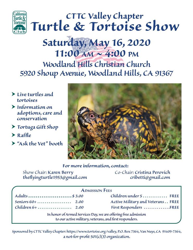 2020 CTTC-Valley Show Flyer