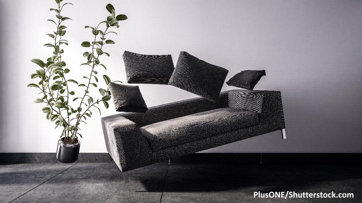 Fictional 3D image of rectangular black sofa with matching cushions and potted broad leaf plant floating in the air.